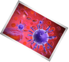 Virus rechts